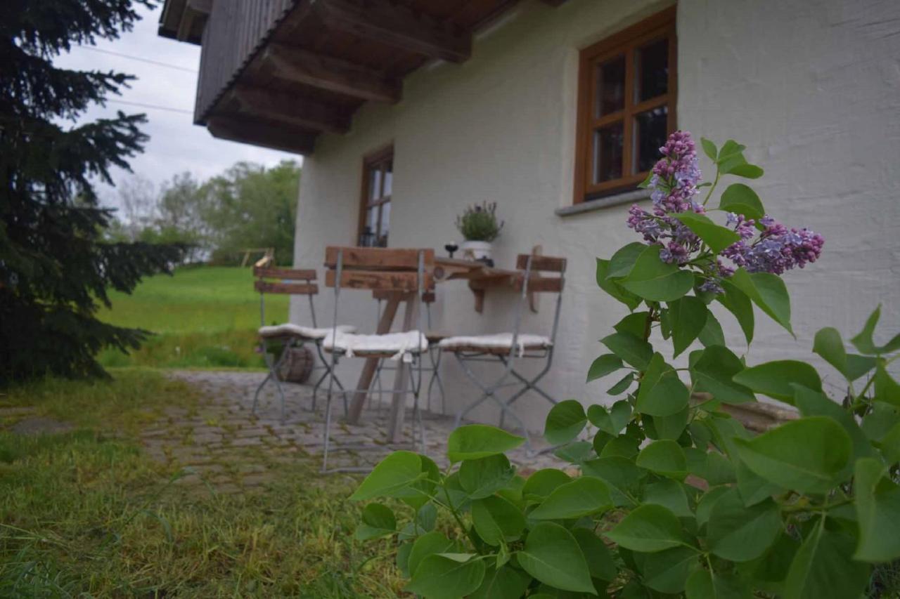 Birken Chalet Falkenfels 외부 사진