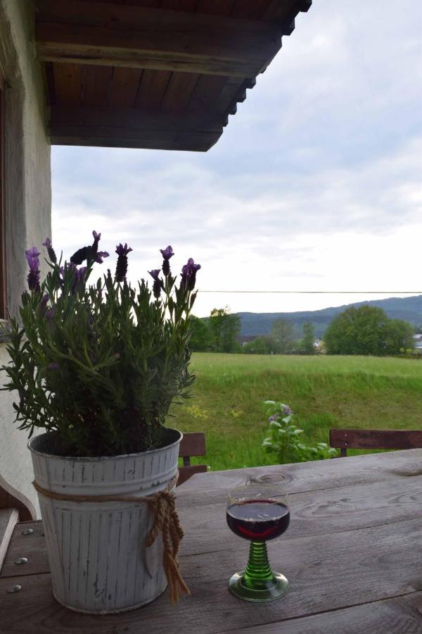 Birken Chalet Falkenfels 외부 사진